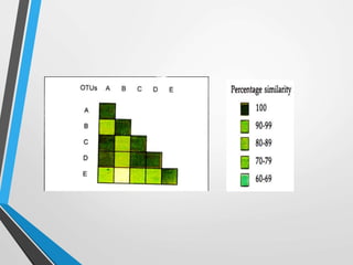 Numerical taxonomy | PPTX