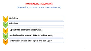numerical taxonomy - Chaudhari kavini (1).pptx