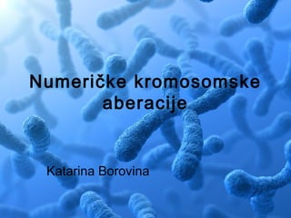 Numeričke kromosomske
aberacije
Katarina Borovina
 