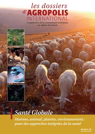 AGROPOLIS
INTERNATIONAL
les dossiers
Compétences de la communauté sientifique
en région Occitanie
d
Numéro 25
Décembre 2019
Santé Globale
Homme, animal, plantes, environnement :
pour des approches intégrées de la santé
‘
 