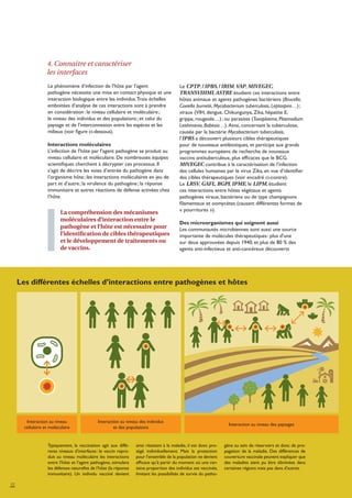 Santé globale : Homme, animal, plantes, environnement : pour des approches intégrées de la santé