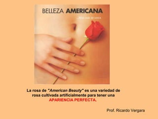 La rosa de "American Beauty" es una variedad de 
rosa cultivada artificialmente para tener una 
APARIENCIA PERFECTA. 
Prof. Ricardo Vergara
 