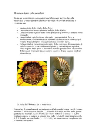 El numero áureo en la naturaleza

Como ya lo mencione con anterioridad el numero áureo esta en la
naturaleza y unos ejemplos claros de esto son los que les mostrare a
continuación.

   •   La disposición de los pétalos de las flores
   •   La relación entre las nervaduras de las hojas de los árboles
   •   La relación entre el grosor de las ramas principales y el tronco, o entre las ramas
       principales
   •   La cantidad de espirales de una piña (ocho y trece espirales), flores o
       inflorescencias. Estos números son elementos de la sucesión de Fibonacci y el
       cociente de dos elementos consecutivos tiende al número áureo.
   •   En la cantidad de elementos constituyentes de las espirales o dobles espirales de
       las inflorescencias, como en el caso del girasol, y en otros objetos orgánicos
       como las piñas de los pinos se encuentran números pertenecientes a la sucesión
       de Fibonacci. El cociente de dos números sucesivos de esta sucesión tiende al
       número áureo.




   La serie de Fibonacci en la naturaleza

Los machos de una colmena de abejas tienen un árbol genealógico que cumple con esta
sucesión. El hecho es que un zángano (1), el macho de la abeja, no tiene padre, pero sí
que tiene una madre (1, 1), dos abuelos, que son los padres de la reina (1, 1, 2), tres
bisabuelos, ya que el padre de la reina no tiene padre (1, 1, 2, 3), cinco tatarabuelos (1,
1, 2, 3, 5), ocho tras tatarabuelos (1, 1, 2, 3, 5, 8) y así sucesivamente, cumpliendo con
la sucesión de Fibonacci.
 