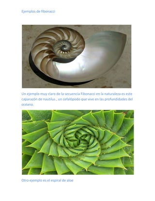 Ejemplos de fibonacci




Un ejemplo muy claro de la secuencia Fibonacci en la naturaleza es este
caparazón de nautilus , un cefalópodo que vive en las profundidades del
océano.




Otro ejemplo es el espiral de aloe
 