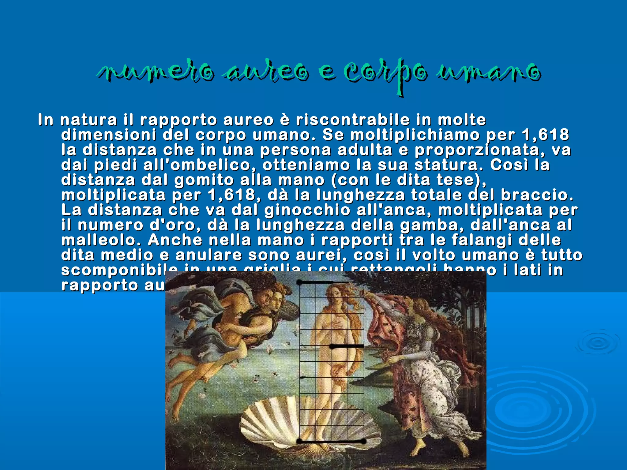 numero aureo e corpo umanonumero aureo e corpo umano
In natura il rapporto aureo è riscontrabile in molteIn natura il rapporto aureo è riscontrabile in molte
dimensioni del corpo umano. Se moltiplichiamo per 1,618dimensioni del corpo umano. Se moltiplichiamo per 1,618
la distanza che in una persona adulta e proporzionata, vala distanza che in una persona adulta e proporzionata, va
dai piedi all'ombelico, otteniamo la sua statura. Così ladai piedi all'ombelico, otteniamo la sua statura. Così la
distanza dal gomito alla mano (con le dita tese),distanza dal gomito alla mano (con le dita tese),
moltiplicata per 1,618, dà la lunghezza totale del braccio.moltiplicata per 1,618, dà la lunghezza totale del braccio.
La distanza che va dal ginocchio all'anca, moltiplicata perLa distanza che va dal ginocchio all'anca, moltiplicata per
il numero d'oro, dà la lunghezza della gamba, dall'anca alil numero d'oro, dà la lunghezza della gamba, dall'anca al
malleolo. Anche nella mano i rapporti tra le falangi dellemalleolo. Anche nella mano i rapporti tra le falangi delle
dita medio e anulare sono aurei, così il volto umano è tuttodita medio e anulare sono aurei, così il volto umano è tutto
scomponibile in una griglia i cui rettangoli hanno i lati inscomponibile in una griglia i cui rettangoli hanno i lati in
rapporto aureo.  rapporto aureo.  
                                                            
 