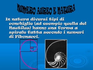 In natura diversi tipi diIn natura diversi tipi di
conchiglie (ad esempio quella delconchiglie (ad esempio quella del
Nautilus) hanno una forma aNautilus) hanno una forma a
spirale fatta secondo i numerispirale fatta secondo i numeri
di Fibonacci.di Fibonacci.
 