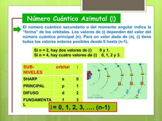 Número Cuántico Azimutal (l)
El número cuántico secundario o del momento angular indica la
“forma” de los orbítales. Los valores de (l) dependen del valor del
número cuántico principal (n). Para un valor dado de (n), (l) tiene
todos los valores enteros posibles desde 0 hasta (n-1).
Si n = 2, hay dos valores de (l) 0 y 1.
Si n = 4, hay cuatro valores de (l) 0, 1, 2 y 3.
SUB-
NIVELES
orbital l
SHARP s 0
PRINCIPAL p 1
DIFUSO d 2
FUNDAMENTA
L
f 3
l = 0, 1, 2, 3, …. (n-1)
 