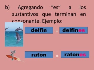 b) Agregando “es” a los
sustantivos que terminan en
consonante. Ejemplo:
delfín delfines
ratón ratones
=
=
 