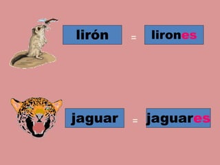 lirón lirones
jaguaresjaguar
=
=
 