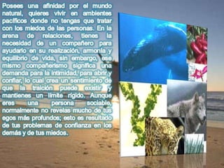 Numerologia completa