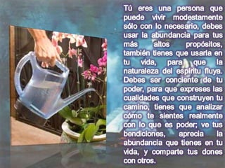 Numerologia completa