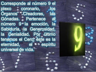 Numerologia completa