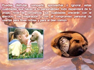 Numerologia completa