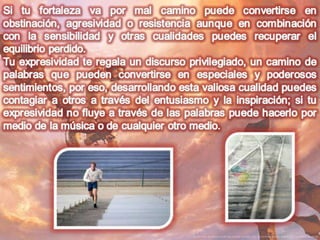 Numerologia completa