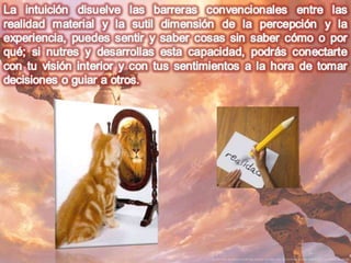 Numerologia completa