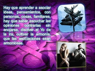 Numerologia completa