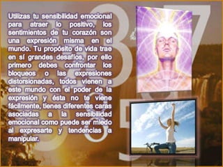 Numerologia completa