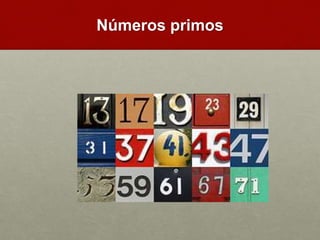 Números primos
 