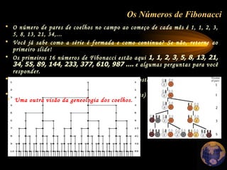 Os Números de Fibonacci   O número de pares de coelhos no campo ao começo de cada mês é 1, 1, 2, 3, 5, 8, 13, 21, 34,...  Você já sabe como a série é formada e como continua? Se não, retorne ao primeiro slide!  Os primeiros 16 números de Fibonacci estão aqui  1, 1, 2, 3, 5, 8, 13, 21, 34, 55, 89, 144, 233, 377, 610, 987 ....  e algumas perguntas para você responder. Agora você pode ver por que esta é a resposta do nosso problema dos Coelhos?  Se não, aqui está o por quê. ( aguarde as figuras) Uma outra visão da geneologia dos coelhos.  