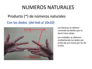NUMEROS NATURALES
Producto (*) de números naturales
Con los dedos (del 6x6 al 10x10)
Las decenas se obtiene
sumando los dedos que se
tocan hacia abajo.
Las unidades se obtienen
multiplicando los dedos por
arriba de una mano por los de
la otra
 