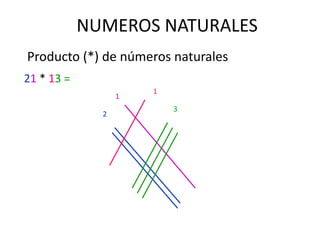 NUMEROS NATURALES
Producto (*) de números naturales
21 * 13 =
2
1
1
3
 