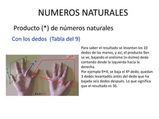 NUMEROS NATURALES
Producto (*) de números naturales
Con los dedos (Tabla del 9)
Para saber el resultado se levantan los 10
dedos de las manos, y así, el producto 9xn
se ve, bajando el enésimo (n-ésimo) dedo
contando desde la izquierda hacia la
derecha.
Por ejemplo 9×4, se baja el 4º dedo, quedan
3 dedos levantados antes del dedo que ha
bajado seis dedos después. Lo que significa
que el resultado es 36.
 