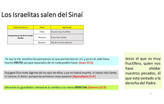 Los Israelitas salen del Sinaí