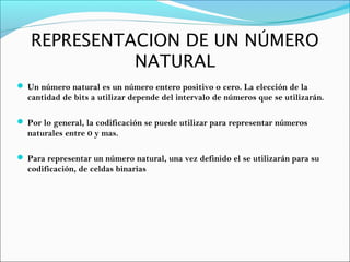 REPRESENTACION DE UN NÚMERO
NATURAL
 Un número natural es un número entero positivo o cero. La elección de la
cantidad de bits a utilizar depende del intervalo de números que se utilizarán.
 Por lo general, la codificación se puede utilizar para representar números
naturales entre 0 y mas.
 Para representar un número natural, una vez definido el se utilizarán para su
codificación, de celdas binarias
 