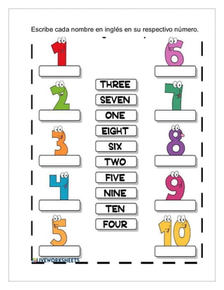 Escribe cada nombre en inglés en su respectivo número.
