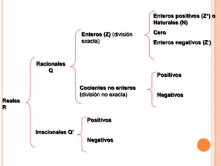 Enteros (Z) (división exacta)Racionales  QPositivosNegativosCocientesno enteros (división no exacta)Reales RPositivosNegativosIrracionalesQ’Enteros positivos (Z+) o Naturales (N)CeroEnteros negativos (Z-) 