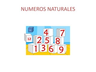 NUMEROS NATURALES 
11 
12 
 