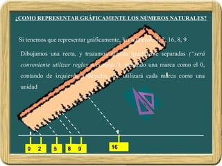 ¿COMO REPRESENTAR GRÁFICAMENTE LOS NÚMEROS NATURALES?
Si tenemos que representar gráficamente, los números: 5, 2, 16, 8, 9
Dibujamos una recta, y trazamos marcas igualmente separadas (“será
conveniente utilizar reglas o compás”), tomando una marca como el 0,
contando de izquierda a derecha, se utilizará cada marca como una
unidad
52 16980
 