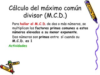 Cálculo del máximo común divisor (M.C.D.) Para  hallar el M.C.D . de dos o más números, se multiplican los  factores primos comunes a estos números elevados a su menor exponente . Dos números son  primos  entre  sí cuando su  M.C.D. es 1 Actividades 
