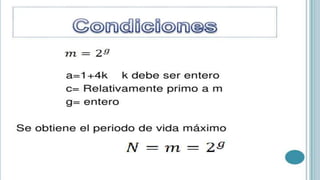 ING. EDNA GABRIELA CEJA SILVA
 