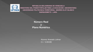 Alumna: Alvarado Lolimar
C.I.: 12.593.885
Número Real
y
Plano Numérico
 