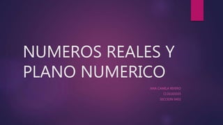 NUMEROS REALES Y
PLANO NUMERICO
ANA CAMILA RIVERO
CI:26165035
SECCION 0402
 
