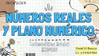 NÚMEROS REALES
NÚMEROS REALES
Y PLANO NUMÉRICO
Y PLANO NUMÉRICO
Matemática Inicial
IN0405 David Di Bacco
C.I.: v-24.164.862
13/01/2023
 