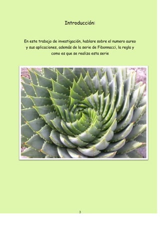 Introducción:


En este trabajo de investigación, hablare sobre el numero aureo
 y sus aplicaciones, además de la serie de Fibonnacci, la regla y
               como es que se realiza esta serie




                                3
 