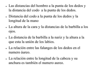 ● Las distancias del hombro a la punta de los dedos y
la distancia del codo a la punta de los dedos.
● Distancia del codo a la punta de los dedos y la
longitud de la mano
● La altura de la cara y la distancias de la barbilla a los
ojos.
● La distancia de la barbilla a la nariz y la altura a la
que esta la unión de los labios.
● La relación entre las falanges de los dedos en el
numero áureo.
● La relación entre la longitud de la cabeza y su
anchura es también el numero aureo.
 