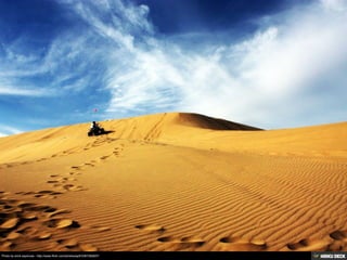 Photo by erick espinosa - http://www.flickr.com/photos/epfi/3367282607/

 