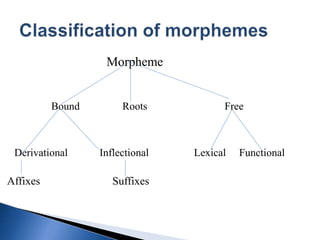 Morpheme
Bound Roots Free
Derivational Inflectional Lexical Functional
Affixes Suffixes
 