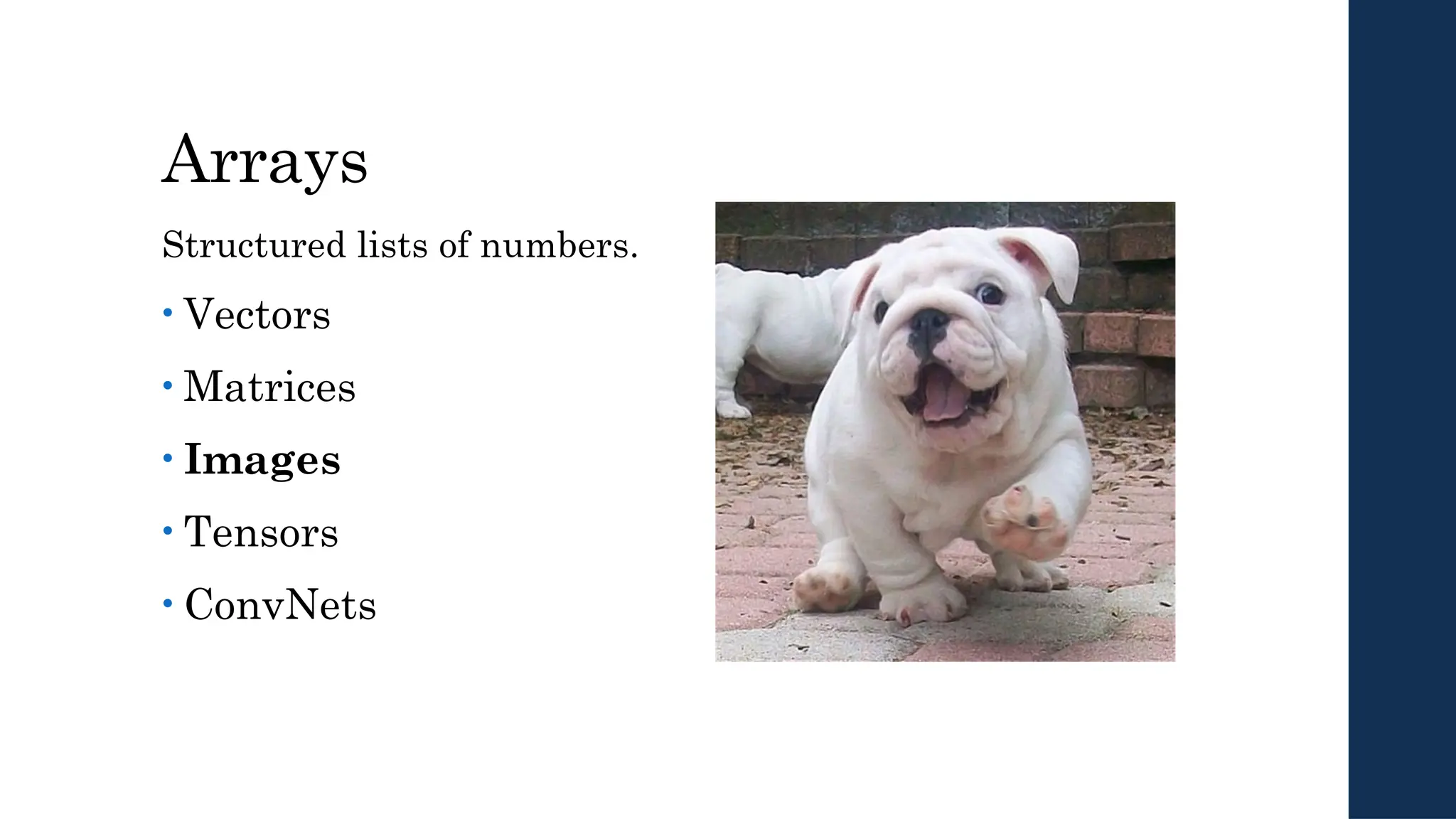 Arrays
Structured lists of numbers.
• Vectors
• Matrices
• Images
• Tensors
• ConvNets
 