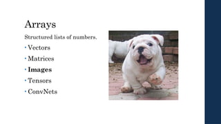Arrays
Structured lists of numbers.
• Vectors
• Matrices
• Images
• Tensors
• ConvNets
 