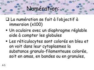 A S
Numération:
 La numération se fait à l’objectif à
immersion (x100)
 Un oculaire avec un diaphragme réglable
aide à compter les globules
 Les réticulocytes sont colorés en bleu et
on voit dans leur cytoplasmes la
substance granulo-filamenteuse colorée,
soit en amas, en bandes ou en granules,
 