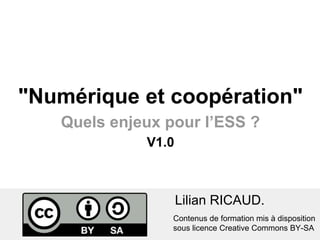 "Numérique et coopération" 
Quels enjeux pour l’ESS ? 
V1.0 
Lilian RICAUD. 
Contenus de formation mis à disposition 
sous licence Creative Commons BY-SA 
 