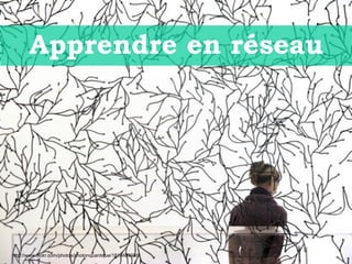 Apprendre en réseau http://www.flickr.com/photos/photonquantique/1818489936/ 