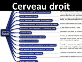 C erveau droit 