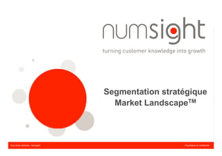 Segmentation stratégique
                                    Market LandscapeTM



Tous droits réservés - Numsight                     Propriétaire et confidentiel
 