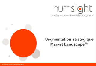 Tous droits réservés Numsight 2014
Segmentation stratégique
Market LandscapeTM
 