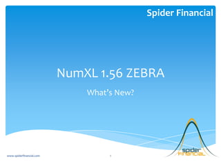 Spider Financial




                          NumXL 1.56 ZEBRA
                              What’s New?




www.spiderfinancial.com            1
 